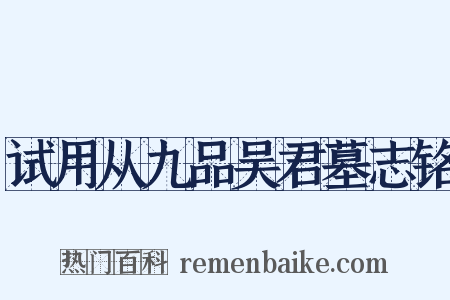 试用从九品吴君墓志铭是什么意思的图片